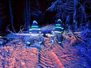 Sněhová kalamita na jihu Čech. Hasiči odklízí stromy, domácnosti jsou bez elektřiny