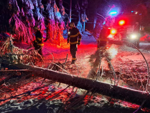 Jihočeští hasiči neřešili vánoční požáry. Vyjížděli k popadaným stromům