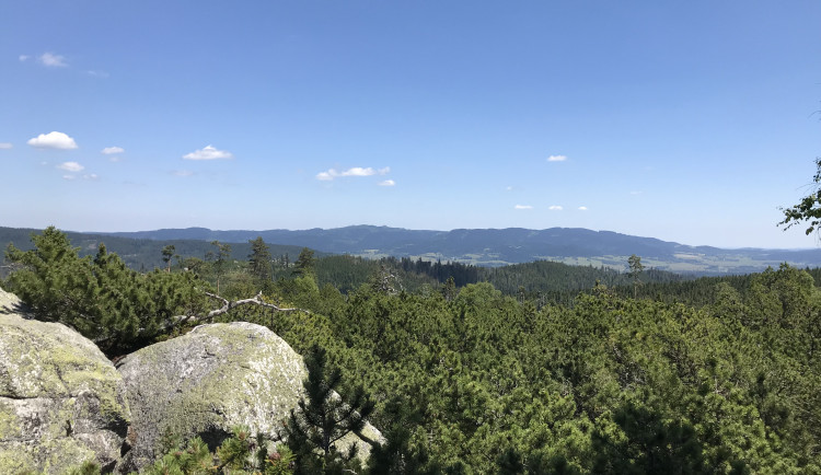 Před 60 lety byla vyhlášena CHKO Šumava, Národní park vznikl až v roce 1991
