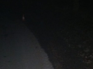 Na Táborsku havaroval muž na čtyřkolce. Nehodu nepřežil