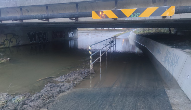 Morava v Olomouci dál stoupá, Litovel už má nejhorší za sebou. Úřady varují před podmáčenými stromy