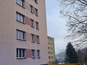 Hořet začalo v bytě kvůli plastové dóze na sporáku, který mohl zapnout domácí mazlíček