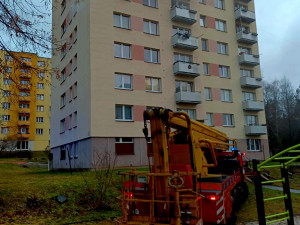 Hořet začalo v bytě kvůli plastové dóze na sporáku, který mohl zapnout domácí mazlíček
