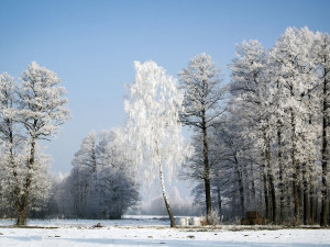 Česko má před sebou mrazivý týden, sněžit může spíše až o víkendu