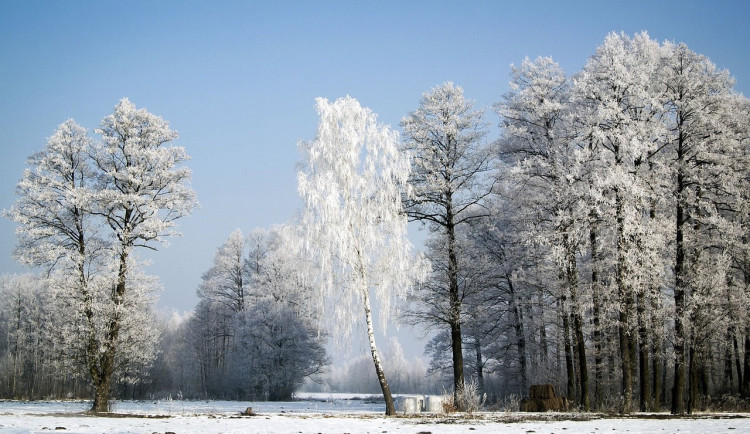 Česko má před sebou mrazivý týden, sněžit může spíše až o víkendu