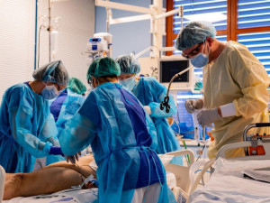 Lékaři v ČR v roce 2023 transplantovali 863 orgánů. Nejvíce operací se týká párových ledvin