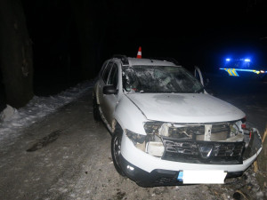 Žena dostala na namrzlé silnici smyk a narazila do stromu. Ji i spolujezdce převezli do nemocnice