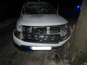 Žena dostala na namrzlé silnici smyk a narazila do stromu. Ji i spolujezdce převezli do nemocnice