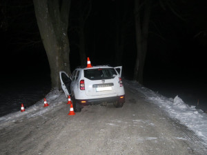 Žena dostala na namrzlé silnici smyk a narazila do stromu. Ji i spolujezdce převezli do nemocnice