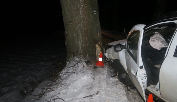 Žena dostala na namrzlé silnici smyk a narazila do stromu. Ji i spolujezdce převezli do nemocnice