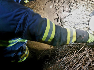 Pes vběhnul do nory za liškou. Hasiči ho museli zachránit