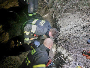 Pes vběhnul do nory za liškou. Hasiči ho museli zachránit