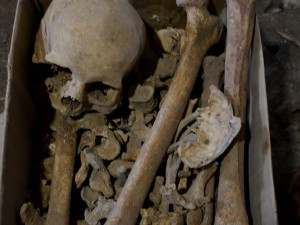 Archeologický průzkum u tvrze ve Volyni odhalil středověkou pec