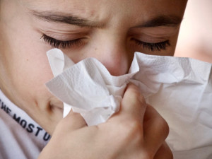 Na jihu Čech pokračuje druhým týdnem epidemie akutních respiračních infekcí