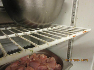 Špína na podlaze, živí i uhynulí švábi. Inspekce zavřela indickou restauraci v Táboře