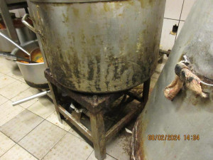 Špína na podlaze, živí i uhynulí švábi. Inspekce zavřela indickou restauraci v Táboře