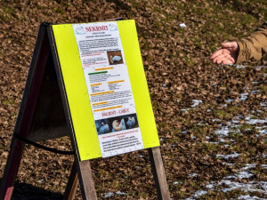 KOMENTÁŘ: Krmení zvířat - fenomén, který se vymkl jakékoliv soudnosti