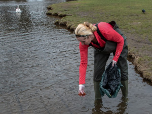 KOMENTÁŘ: Krmení zvířat - fenomén, který se vymkl jakékoliv soudnosti