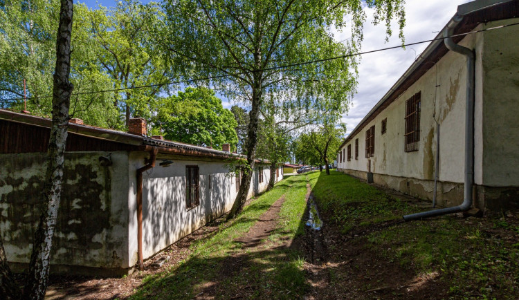 Úředníci v Brně nařídili umělcům, aby se vystěhovali z domků u Kraví hory. Ti se bouří a pryč nechtějí