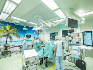 Operační sály nemocnice v Jindřichově Hradci oživily tapety s přírodními motivy