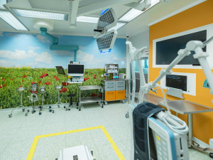 Operační sály nemocnice v Jindřichově Hradci oživují tapety s přírodními motivy
