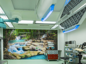 Operační sály nemocnice v Jindřichově Hradci oživují tapety s přírodními motivy