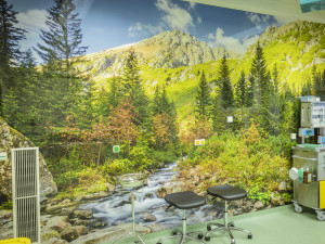 Operační sály nemocnice v Jindřichově Hradci oživují tapety s přírodními motivy