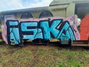 Sprejer se vyřádil na odstavených lokomotivách. Policie hledá svědky