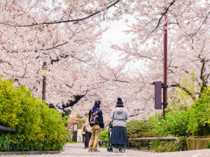 Kam na jarní dovolenou? Objevte těchto pět úchvatných destinací