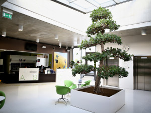 Protonové centrum pacientům pomáhá i s nádory krčních mandlí