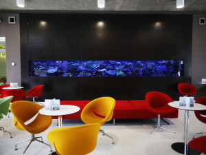 Protonové centrum pacientům pomáhá i s nádory krčních mandlí