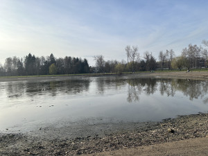 Bagr prochází údržbou. Město chce zlepšit kvalitu vody v nádrži