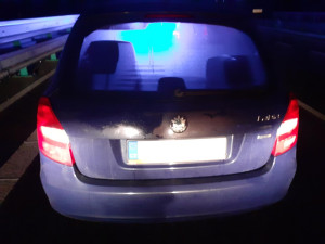 Drogy v autě neunikly služebnímu psovi. Button našel schovaný pervitin a efedrin