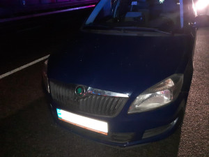 Drogy v autě neunikly služebnímu psovi. Button našel schovaný pervitin a efedrin