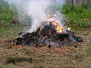 Zahrádkáři se chystají pálit haldy biologického odpadu. Hasiči jim doporučují pálení hlásit