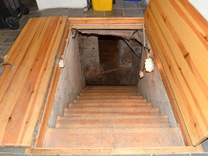 České Budějovice objektivem Milana Bindera a perem Martina Maršíka: Nelehký život čuníků