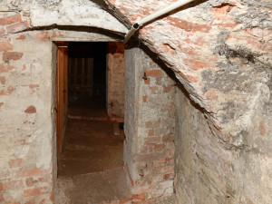 České Budějovice objektivem Milana Bindera a perem Martina Maršíka: Nelehký život čuníků