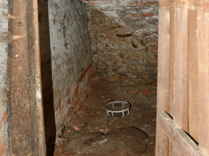 České Budějovice objektivem Milana Bindera a perem Martina Maršíka: Nelehký život čuníků