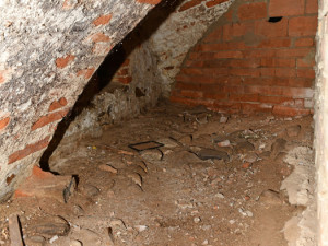 České Budějovice objektivem Milana Bindera a perem Martina Maršíka: Nelehký život čuníků