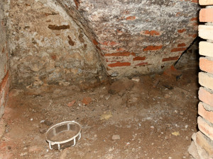 České Budějovice objektivem Milana Bindera a perem Martina Maršíka: Nelehký život čuníků