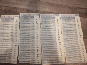 Zločinecká skupina krátila ve velkém daně. Škoda je nejméně 108 milionů