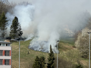 Požár trávy se v Českém Krumlově rozšířil na smrky. Hasiči oheň zlikvidovali