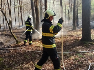 Hasiči řešili o víkendu požáry lesů