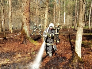 Hasiči řešili o víkendu požáry lesů