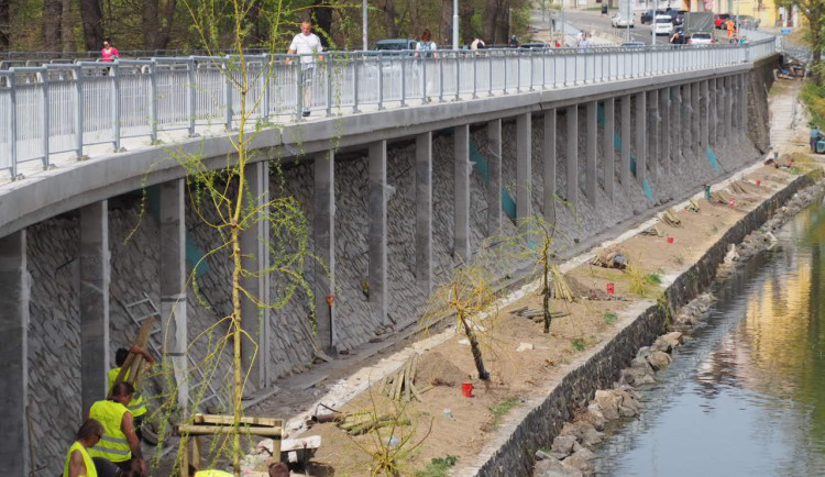 Zahradníci začali sázet nové vrby na hráz táborské vodní nádrže Jordán