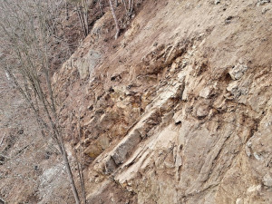 Fritschova stezka je jedna z nejznámějších turistických tras na jihu Čech