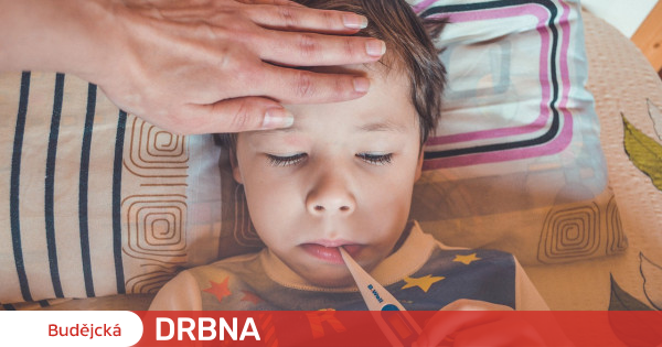 So far this year, 1,177 people have contracted whooping cough in the South Bohemia Region Health |  News |  Budějská Drbna