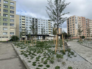 Náměstí na sídlišti Vltava je opravené. Město chystá ještě překvapení s fontánou a bazénkem