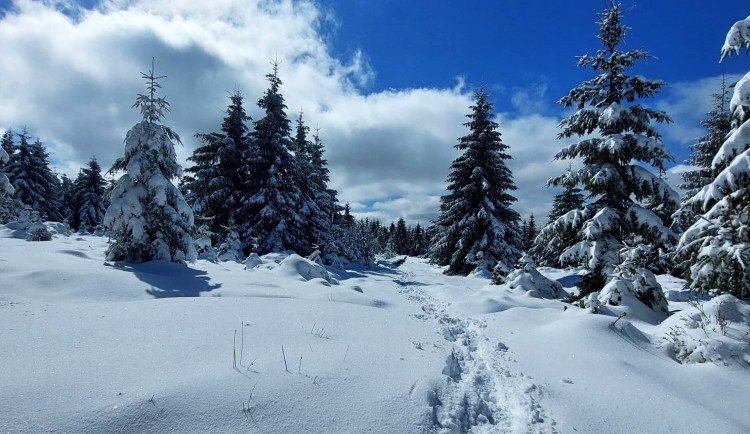 Na Šumavě dnes ráno klesly teploty k minus deseti stupňům Celsia