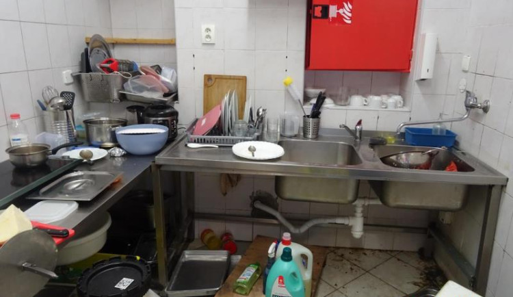 Špína a švábi všude. Inspekce zavřela indické bistro v Budějcích